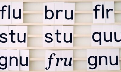 5 Letter Words That End in U