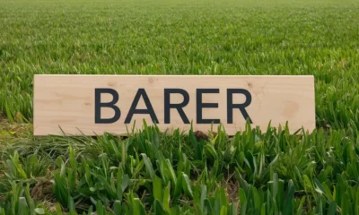 Barer Meaning