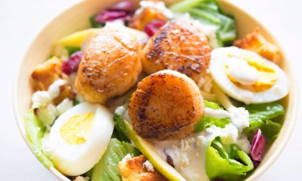 Scallops